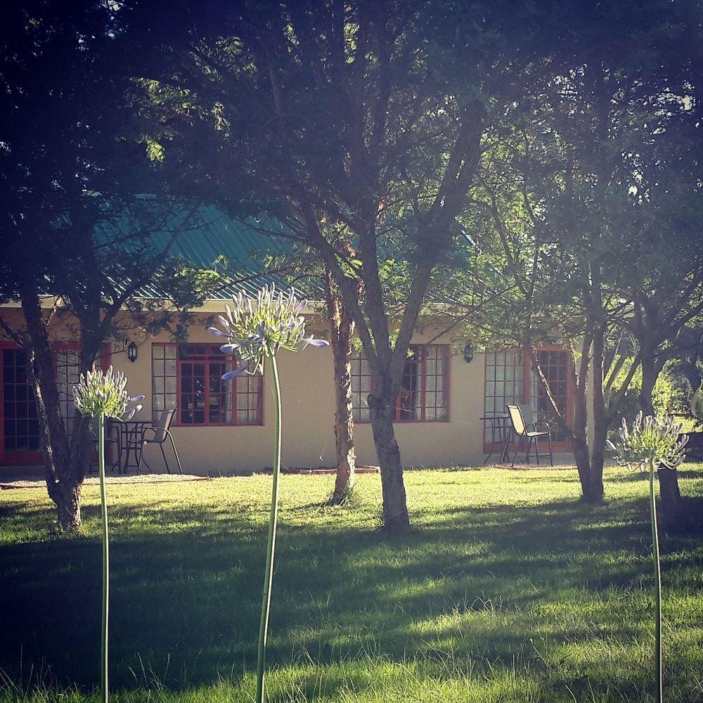Hopefield Country House 阿多 外观 照片