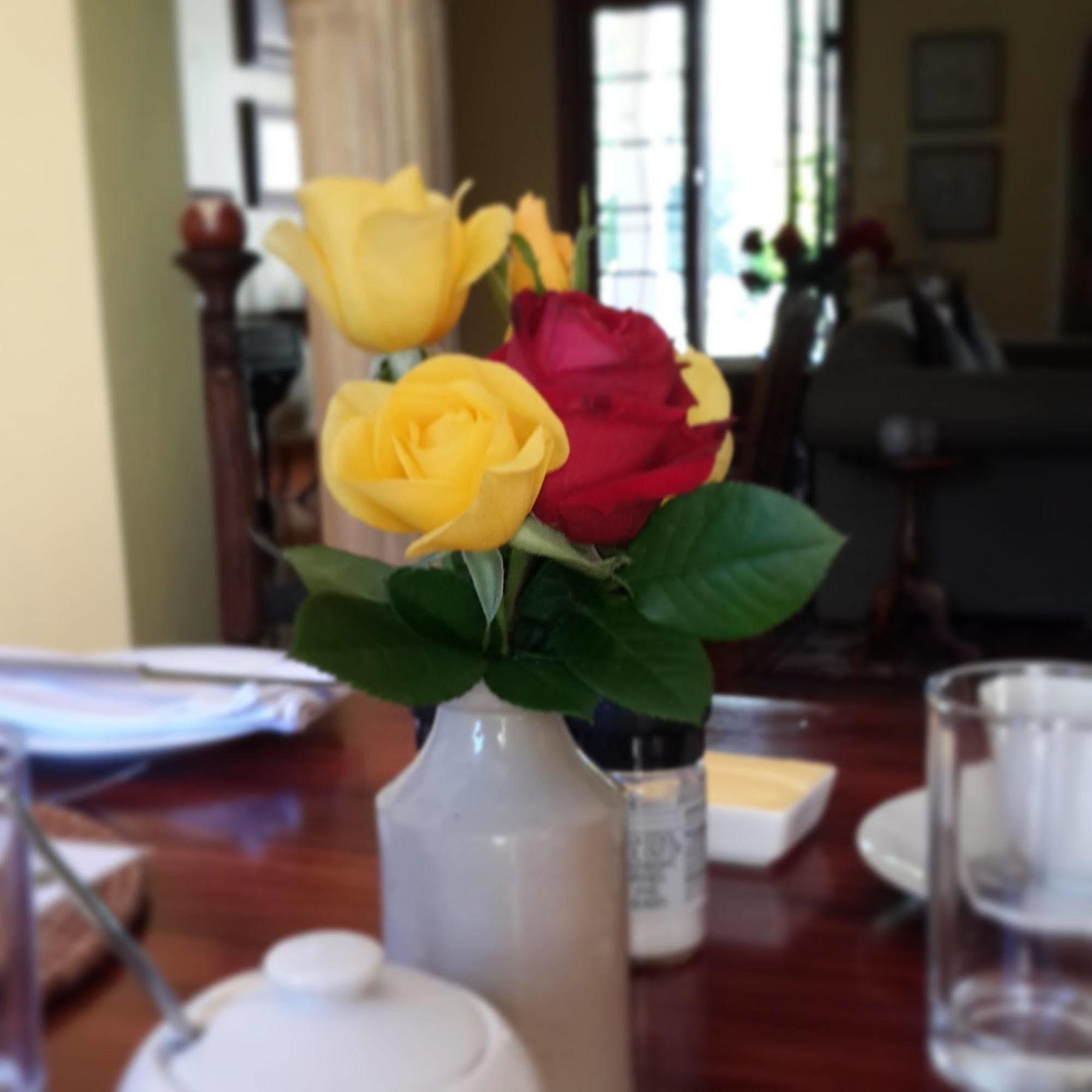 Hopefield Country House 阿多 外观 照片