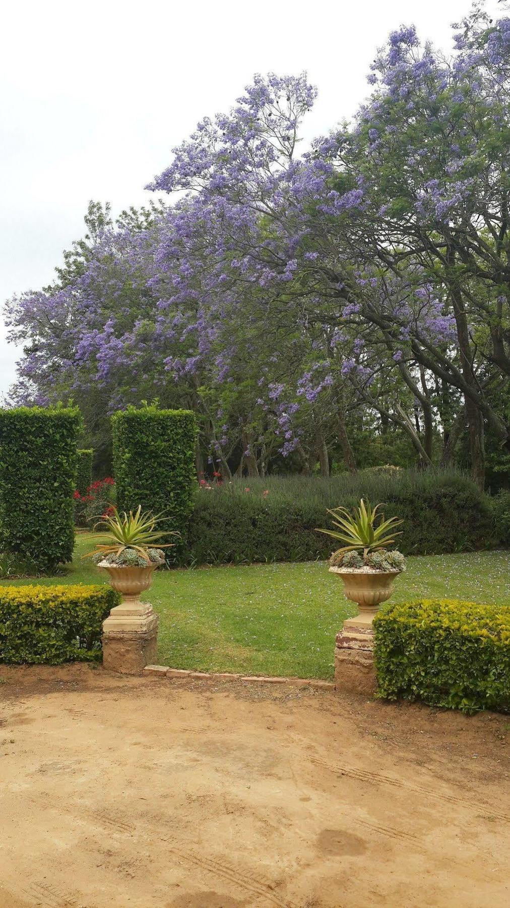 Hopefield Country House 阿多 外观 照片
